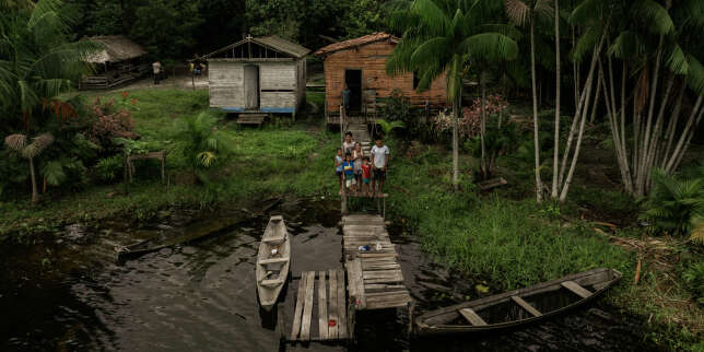 A Marajo, au Brésil, l’extrême dénuement des « ribeirinhos », les pêcheurs traditionnels d’Amazonie