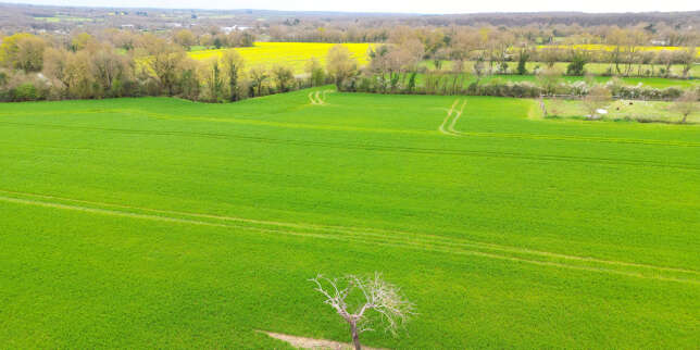 L’avenir de la loi européenne sur la restauration de la nature de nouveau menacé