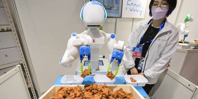 Le Japon mise sur les nouvelles technologies pour pallier le manque de main-d’œuvre