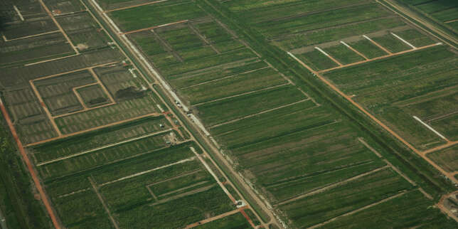 Le Guyana, naissance d’un nouveau géant pétrolier