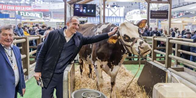 François Ruffin et Raphaël Glucksmann, entre Amiens et Charleroi, deux visions de l’Europe
