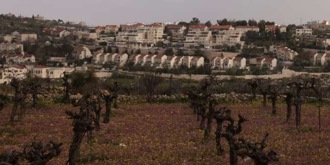 L’ONU considère que les colonies israéliennes relèvent du « crime de guerre »