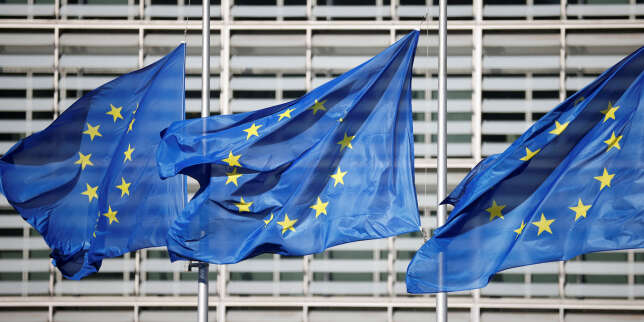 Daniel Cohn-Bendit et Sylvie Goulard : « L’Europe fédérale, chiche ? »