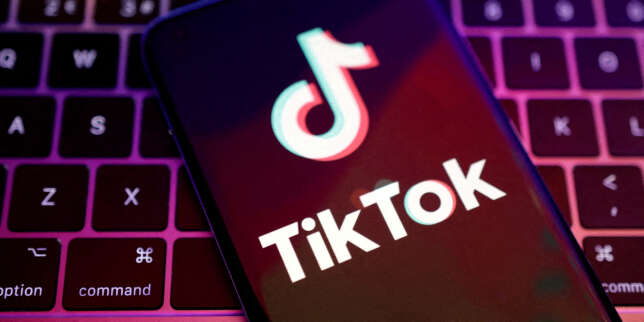 « L’action délétère de TikTok sur nos sociétés est peu contestable »