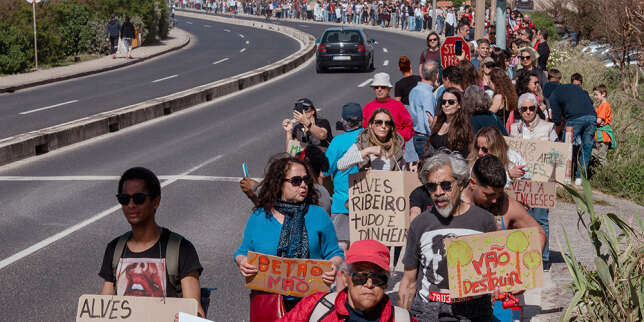Au Portugal, sur la côte d’Estoril, une forêt du littoral est menacée par un vaste projet immobilier