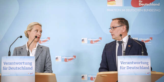 En Allemagne, le parti d’extrême droite AfD dans la tourmente