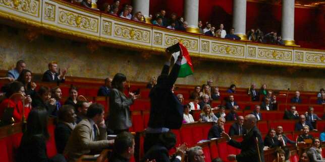 Le député LFI Sébastien Delogu exclu quinze jours de l’Assemblée nationale pour avoir brandi un drapeau palestinien dans l’hémicycle