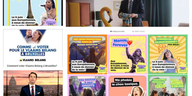 Elections européennes 2024 : sur les réseaux sociaux, la légalité floue de publicités politiques financées par des ONG