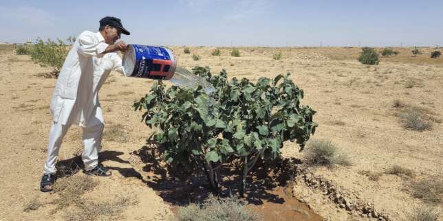 En Libye, le djebel Nefoussa s’assèche dangereusement sous l’effet du dérèglement climatique
