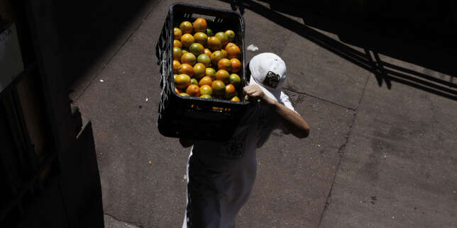 Matières premières : « Le jus d’orange, de l’or au bar »