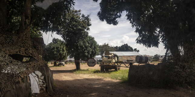 En Centrafrique, Wagner continue de prospérer