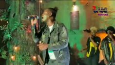 Privé : [ID: DvaajkOiiQQ] Youtube Automatic